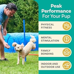 Dog agility course backyard set dog agility equipment dog obstacle course backyard agility training equipment for dogs dog agility jumps  urban country home decor