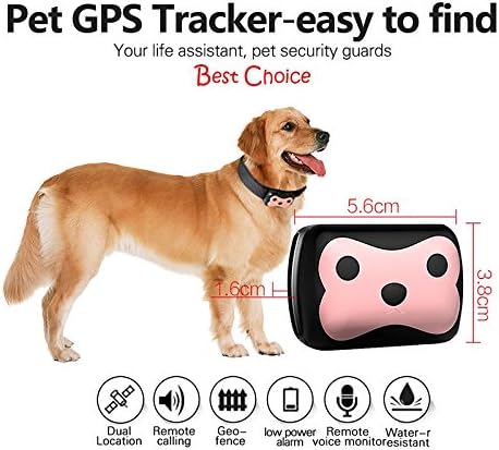 pet geofence