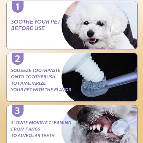 Image of Dog Toothbrush Kit，8 Pcs Dog Cat Teeth Cleaning Finger Toothbrush for Dogs,3 Sided Pet Puppy Toothbrush and Finger Brush for Small Medium Large Dogs Cats Teeth,All in One Storage Case-Purple