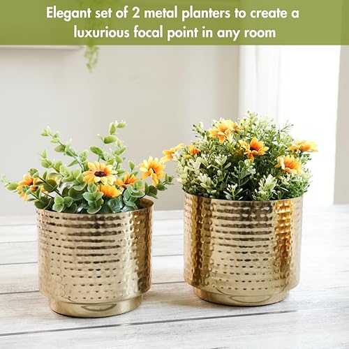 Image of BEHOMA Hammered Gold Metal Mini Tabletop Planters Set of 2 | | Pot for Indoor Outdoor Balcony Living Room | Table Plant Pot for Gifting (Plant not Included)