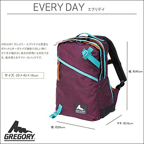 グレゴリー　エブリデイ　21L GREGORY 新品 GREGORY｜【公式】GREGORY エブリデイ リュックサック 21L