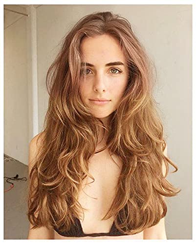 Beweig Ombre Brown Wig for Women Long Natural Wave Synthetic Wigs Middle Part Heat Resistant Hair Cosplay Daily Party Wigs