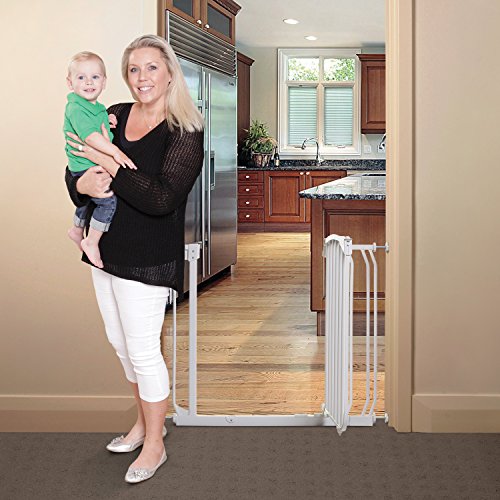 Top 10 Best dream baby gate extensions Reviews NecoleBitchie