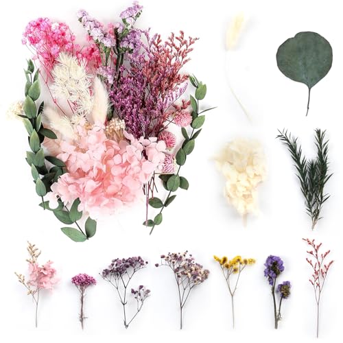 Flores Secas Naturales Prensadas, Flores Prensadas Mixtas, Flores Reales Secas Mezcladas, Varias Flor Prensada Hojas para Decoración Manualidades, Resina, Álbumes Recortes