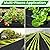 Rintea 4FTX300FT Weed Barrier Fabric, 3.2oz Landscape Fabric, Durable Weed Barrier Fabric Heavy Duty with 20 U-Shaped Securing Pegs for Landscaping Weed Blocker Garden Bed Cover, Commercial Driveway