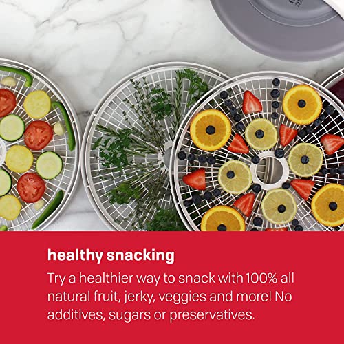 Image of Nesco FD-60 Snackmaster Express Food Dehydrator + Nesco LT-2SG Snackmaster Add-a-Tray, Set of 2