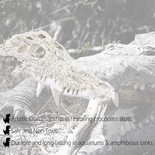 Image of Animal Skull Fish Aquarium Hideout Decorations Cave Dinosaur Reptile Ornament Halloween Decor for Terrarium Large Betta Decor Bones