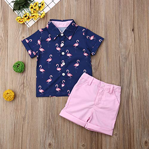 image for VISGOGO Toddler Baby Boy Flamingo Short Sleeve Button Down Shirt & Cas
