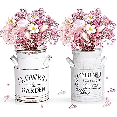 FORMIZON Jarrón Rústico Metal Vintage 2Pcs Cover