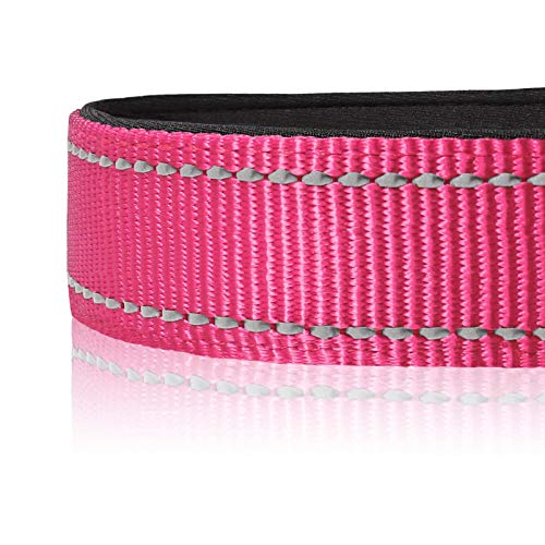 HEELE Hundehalsband, weich gepolstertes Neopren Nylon Hunde Halsband für kleine mittlere große Hunde und Welpen, verstellbare und reflektierende Halsband Hund für Training, Rosa, S