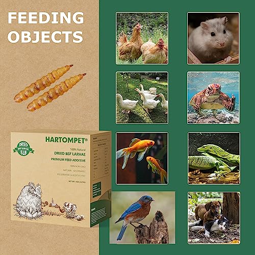 HARTOMPET Premium Dried Black Soldier Fly Larvae for Chickens - 5LB High Calcium Supplement, Molting and Laying Support, Non-GMO & High-Protein Treats, Food for Wild Birds, Ducks, Reptile | Top Grade — view 6