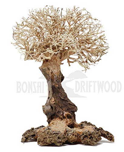 Bonsai Driftwood Aquarium Tree Natural, Handcrafted Fish Tank Decoration | Helps Balance Water