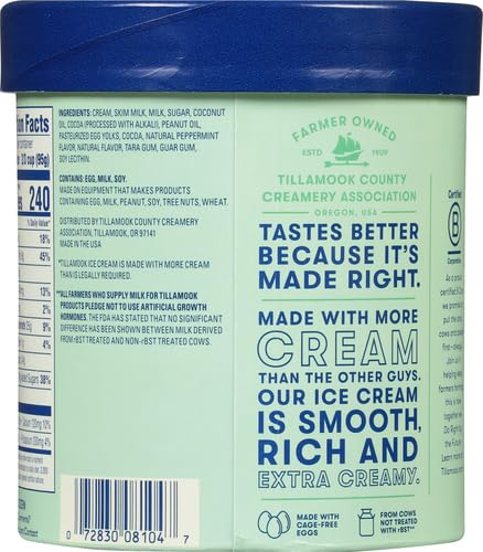 Tillamook 67104 Mint Chocolate Chip Ice Cream thumb #2