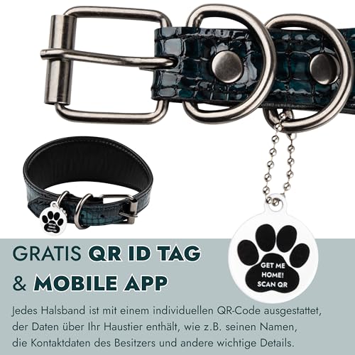 FAVPET Luxus Echtleder Windhund Halsband Breit mit QR Code Anhänger, Weiches Lederhalsband Hund Breit Whippet Italienisches Windspiel Saluki Lurcher Spanischer Galgo Greyhound Podenco (Grün, XS)