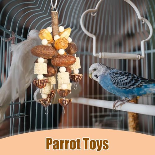 インコ用おもちゃ 天然木製かじり プレイジム,噛むためのインコ用おもちゃ ケージ用 木製ナッツと紐のアクセサリー | オウム コキート ラブバード マカオ コカトゥ用のインタラクティブゲーム