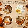 Fall Essential Oils Set 6 x 10ml-Pumpkin Spice, Ap... #2