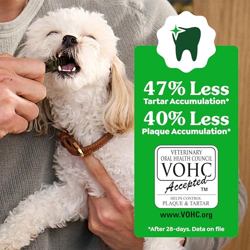 Greenies Veterinarian-Recommended Adult Natural Dental Dog Treats Petite Size, Dog Dental Chews, Original Flavor, 6 oz. Pack, 10 Count