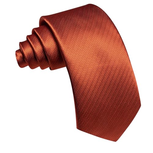 Image of Barry.Wang Silk Men Ties Formal Stripes Necktie and Tie Clip for Wedding Party Business Fashion Classic