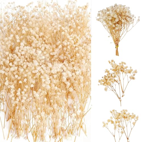 65 Pièces Gypsophile Séché Gypsophile Gypsophile Artificielles Bouquet de Fleurs Séchées Naturelles Gypsophile Fleur Sechees pour Décoration de Cheveux...