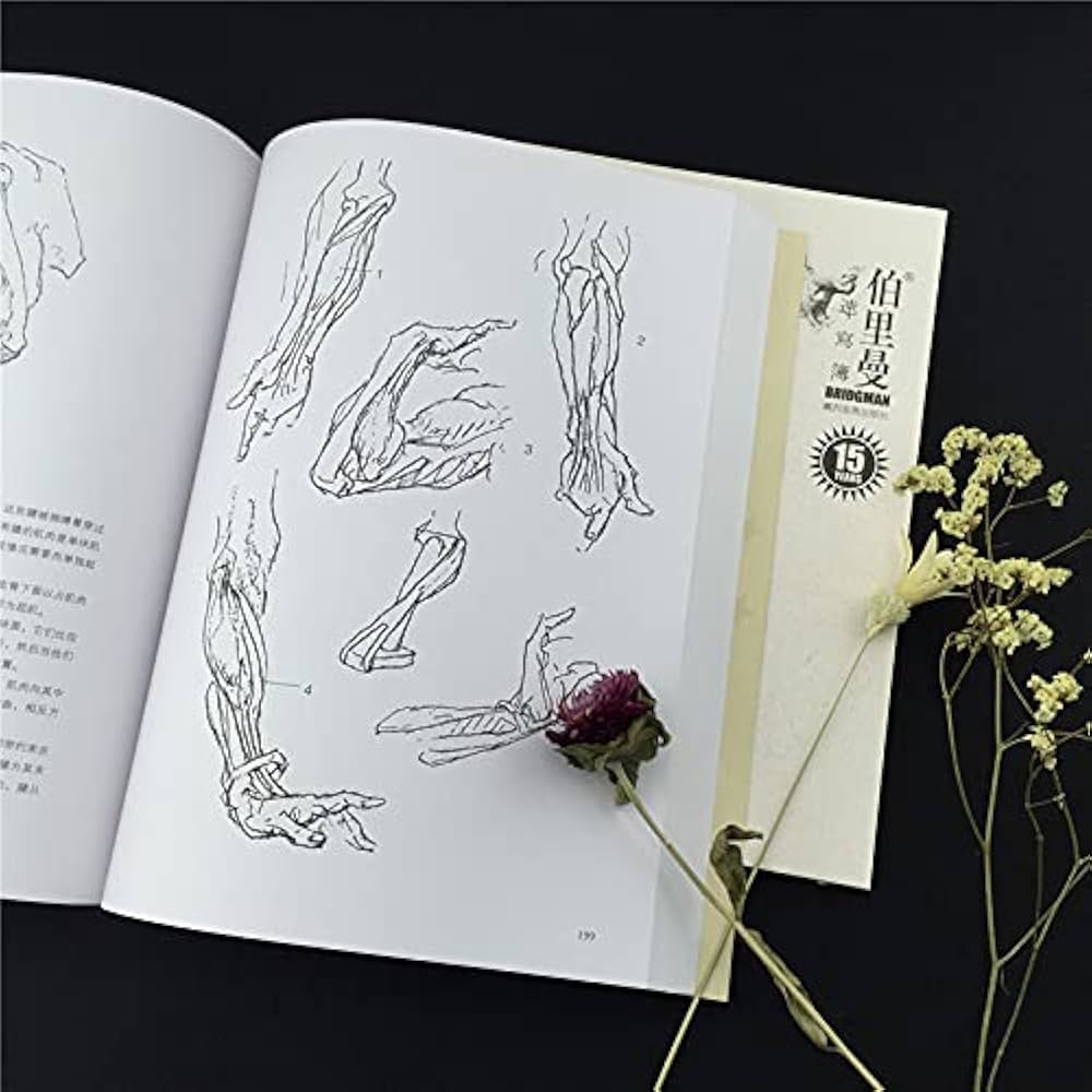 人体结构绘画教学 最新版 Amazon.com: 伯里曼人体结构绘画教学(附练习册黄金版