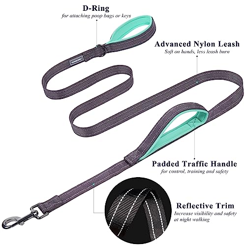 Vivaglory Reflective Dog Leash With Padded Handle, Heavy Duty 5Ft Long Safety Training Double Handle Leash Walking Lead For Medium To Large Dogs, Grey #TOP2