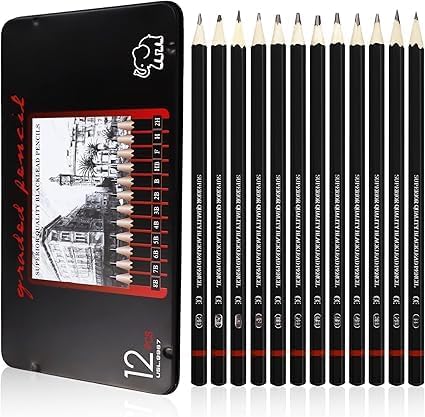 Générique 12 Crayons Dessin Professionnel, Crayon Papier 8B 7B 6B 5B 4B 3B 2B B HB F H 2H Ecriture Douce Croquis Crayon Papier Dessin, Adaptée aux Enfants,...