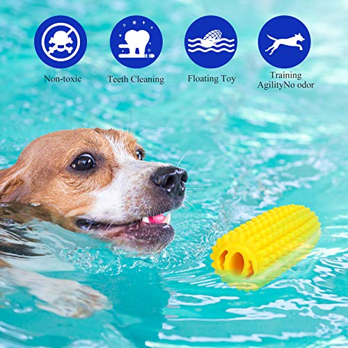 What Colors Do Dogs Like Best? Dog Training Me