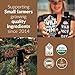 Wild Foods Wild Mushroom Blend-Supercharged Reishi, Chaga, Cordyceps, Turkey Tail and Lion’s Mane - 4Oz Pack- Adaptogenic Stress Reducer for Increased Mental Clarity-Nootropic Liquid Blend for Coffee