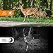 WiMiUS H6 Wildlife Camera 16MP 1080P HD Trail Camera Night Vision Detection...