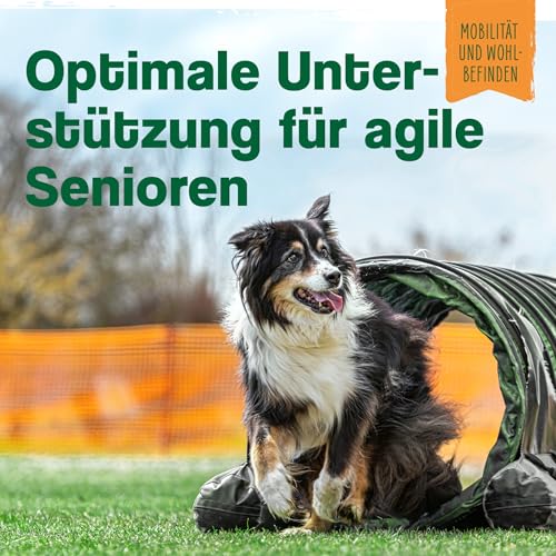 ida+ Senior Complex 350g – Mineralien, Vitamine & Teufelskralle Hund – Mit Bierhefe & Beta Carotin für Senioren Hunde - Superfood für Hunde - Nahrungsergänzungsmittel Hund - Hunde Vitamine Senior