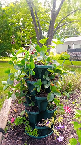 Mr. Stacky 1305-Hg 5-Tier Stackable Strawberry, Herb, Flower, & Vegetable Planter - Vertical Gardening Indoor / Outdoor Stacking Garden Pots Hunter Green, 22.5 Quarts #TOP2