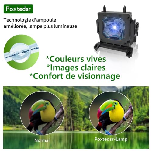 Module de rechange LMP-H210 pour la clarté durable des projecteurs Sony VPL