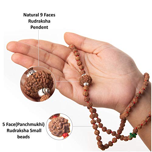 Wonder Care Original Nepali Rudraksha Bead and Rudraksha Mukhi Mala Natural Rudra Religious Rosary Beads Japa Mala Rudraksha for Men and Women - Image 4