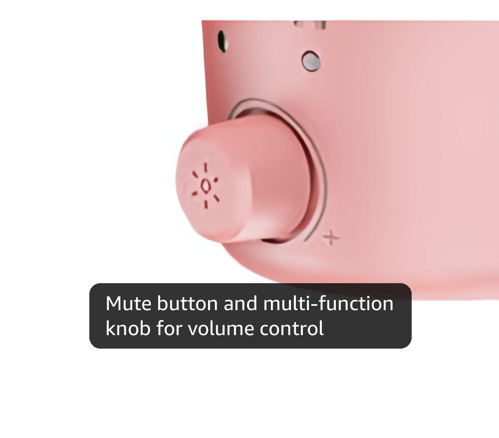 FEELWORLD VM1 Pink Gaming PC USB Microphone Condenser Mic with Noise Cancellation Mute RGB Light, Computer Accessories Gifts for Gamer YouTube Twitch Podcast Streaming Recording Online Chat PS4 PS5