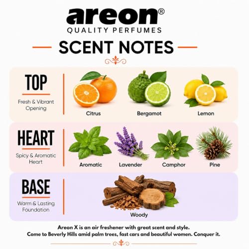 Image of AREON X Mountain Fresh Paper Hanging Car Air Freshener - Pack of 12