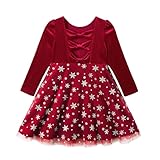 Design Élégant et Classique : La robe en velours pour fillettes présente des styles élégants et classiques vintage. le design du nœud creux dans le dos est également très ludique, la tulle de l'ourlet de la robe est ornée de motifs de flocons de neige argentés exquis