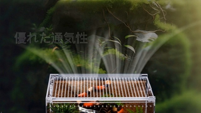 Amazon | COZENTA 爬虫類 ケージ シェルター アクリル製 トカゲ 蛇