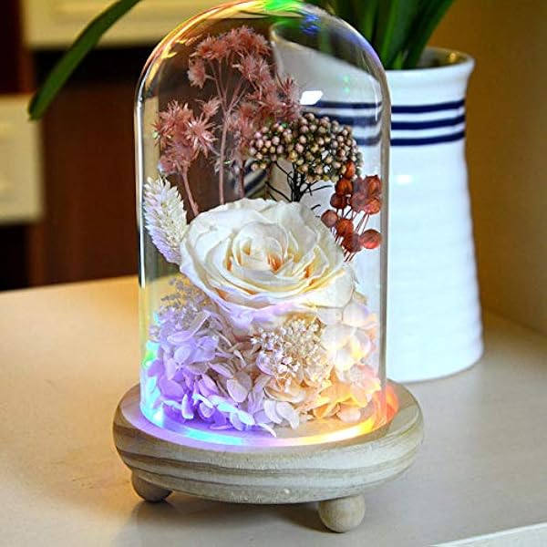 Schoonheid en het Beest Rose Eeuwige bloem Glas Kunstmatige Rose DomeValentijnsdag Bruiloft Romantische Rode Rose Bloemlamp Moederdag Verjaardag Verjaardag (Champagne)