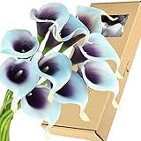 FiveSeasonStuff 10 Stems of Real Touch Calla Lilies Artificial Flower Bouquet, Perfect for Wedding, Bridal, Party, Home Office Décor DIY (Blue & Purple)