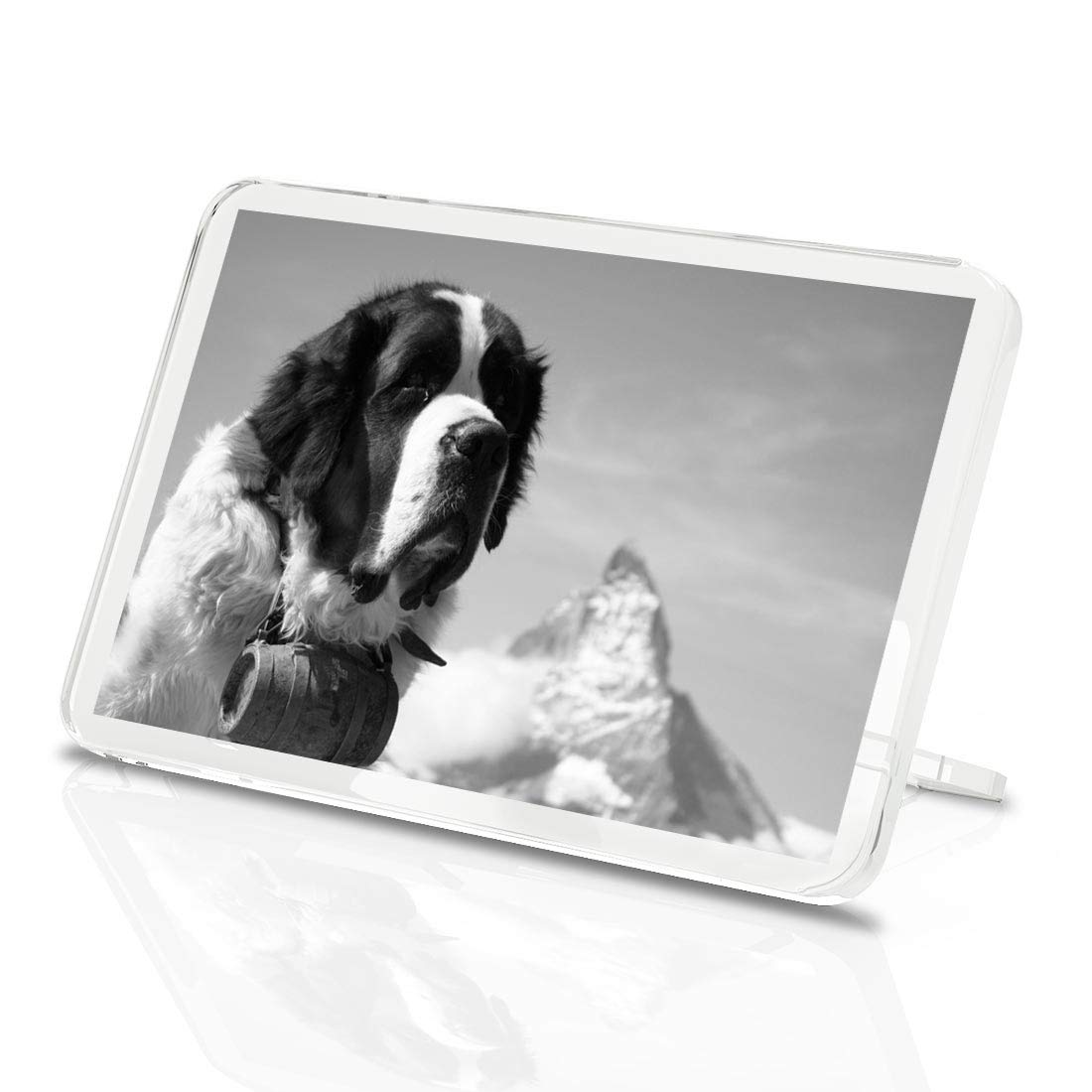 Destination Vinyl Ltd Multicolor 1 X Fridge Magnet - St Bernard Mountain Rescue Dog #35488