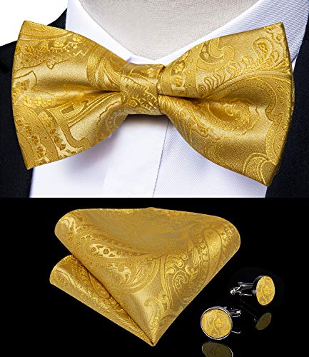 Image of DiBanGu Paisley Bow Tie and Supenders for Men Tuxedo Heavy Duty 6 Clips Suspender Adjustable Y-Shape Mens Trouser Braces
