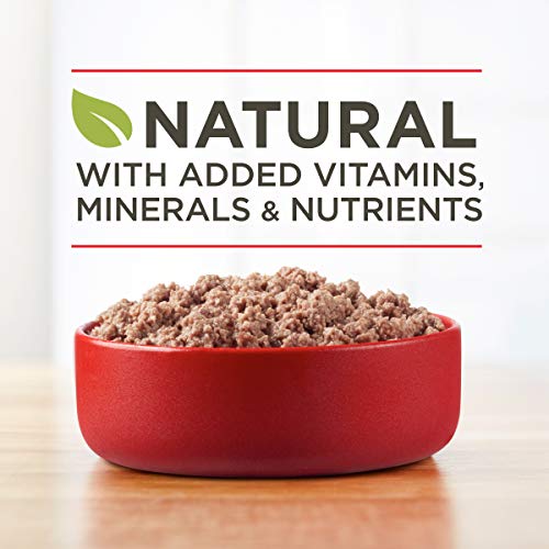 Purina ONE Wet Dog Food True Instinct Classic Ground Grain-Free Formula With Real Beef and Wild Caught Salmon High… - Image 4