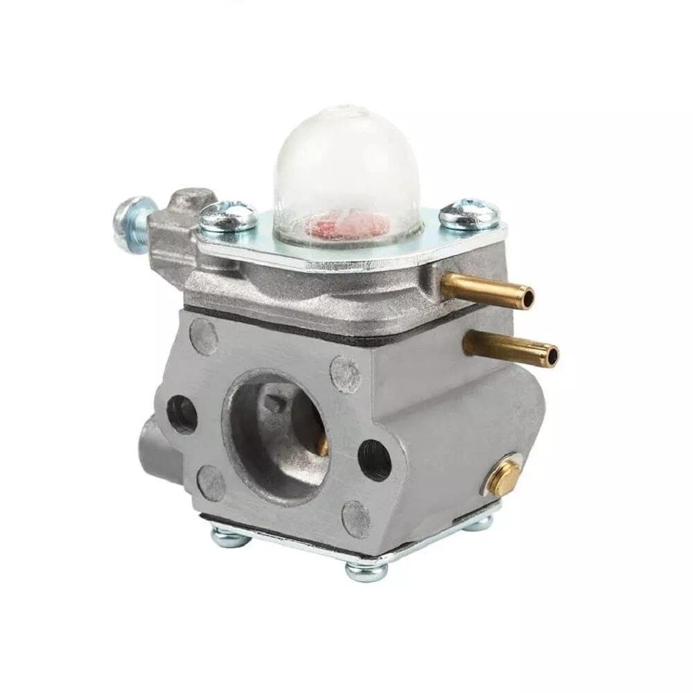 Lote De 20 Ganchos De Pared De Hierro Fundido Negro