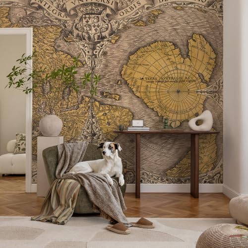 Murales de cartografía histórica premium con estampados artísticos 3