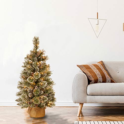 National-Tree-Company-Pre-lit-Artificial-Mini-Christmas-Tree-Includes-Small-White-LED-Lights-White-Tipped-Cones-Glitter-Branches-Pine-Cones-and-Cloth-Bag-Base-Glittery-Bristle-Pine-3-ft National Tree Company Pre lit Artificial Mini Christmas Tree Includes Small White LED Lights White Tipped Cones Glitter Branches Pine Cones and Cloth Bag Base Glittery Bristle Pine 3 ft