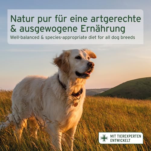AniForte Natürliches Hunde-Futter Trockenfutter LandChicken 14kg, Zartes Huhn mit Reis, 100% Natur, Allergiker, Glutenfrei, Karotten & knackigem Chicorée, ohne künstliche Vitamine