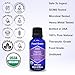 Organic, Lavender Essential Oil, Food Grade, for Drinks, Skin, Hair – 100% Pure, Lavender Oil, by Zongle Therapeutics, 1 OZ