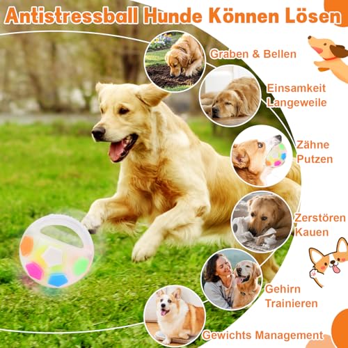 Dog Calming Ball, Anti Stress Ball Hund, Hundeball mit Handle, Antistressball Hund, Haltbares Hundespielzeug mit Quietscher Interaktives Hundespielzeug Balls für Mittlere Große Hunde, Indoor & Outdoor