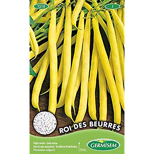 Germisem Graines Haricot nain mangetout ROI DES BEURRES