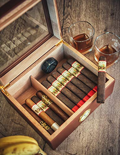 Amerigo Luxury Handcrafted Cigar Humidor - Leather Glass Top Cigar Box - Cigar Gifts for Men - Cigar Accessories - Humidor Humidifier with Cedar Core, Divider & Front Hygrometer - Holds 25-50 Cigars - Thumbnail 4